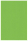Geschenkpapier 70cmx2m knospengrün 65g