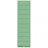 Blanko-Schild 1901 grün 100St/Pg(Alpha/Beta)